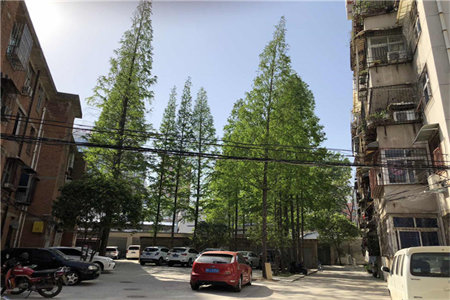 小康二村台儿庄区4室2厅2卫170m2简单装修